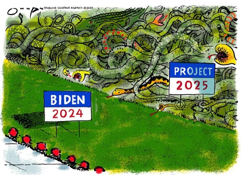 The Best Political Cartoons on the 2024 Presidential Election