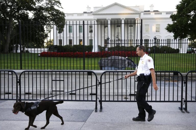 2017: White House Fence Jumper