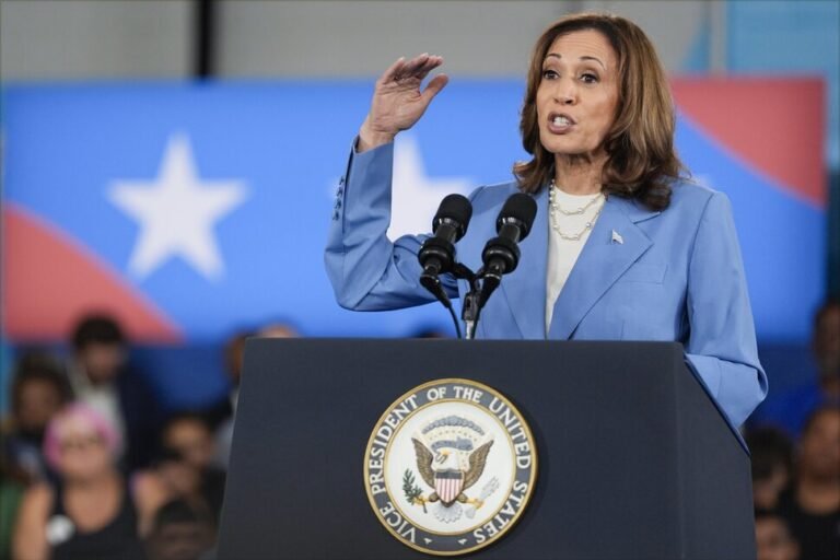 Democratic presidential nominee Vice President Kamala Harris speaks at a campaign event on Friday, Aug. 16, 2024, in Raleigh, N.C.