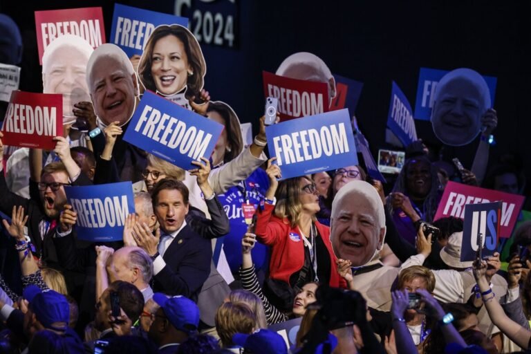 Aug. 20, 2024 | Chicago | Attendees cheer during the second day of the Democratic National Convention.