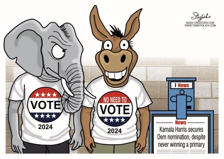 The Best Political Cartoons on the 2024 Presidential Election