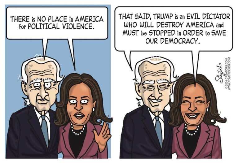 The Best Political Cartoons on Vice President Kamala Harris